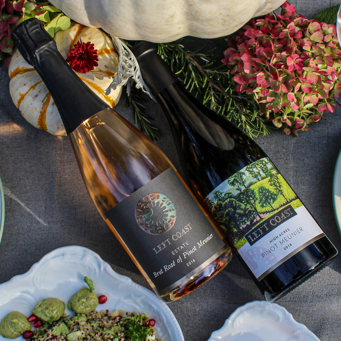 Left Coast Vineyards